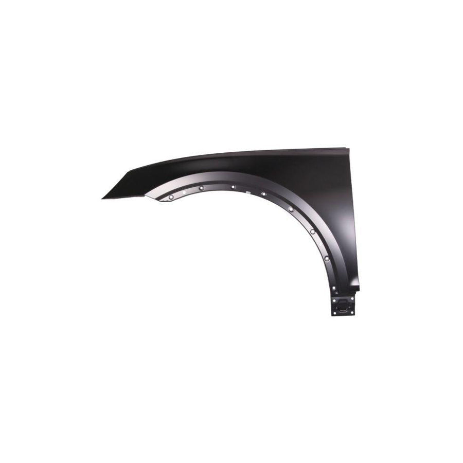 Blic 6504-04-0036311P Wing Fender for Audi Q5 (Fyb)
