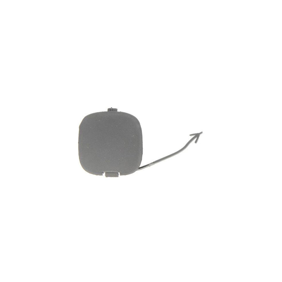 Blic 5513-00-2053970P Flap, Tow Hook