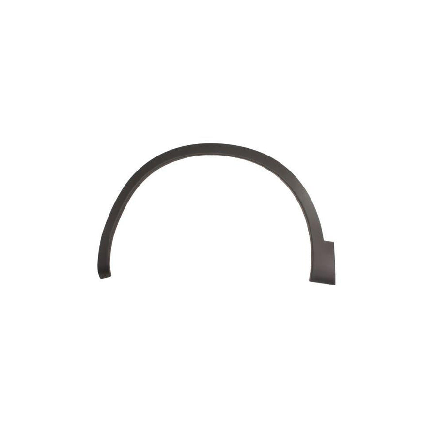 Blic 5703-08-1617375Q Trim / Protective Strip, Mudguard for Nissan Qashqai / Qashqai 2 I (J10, Nj10)