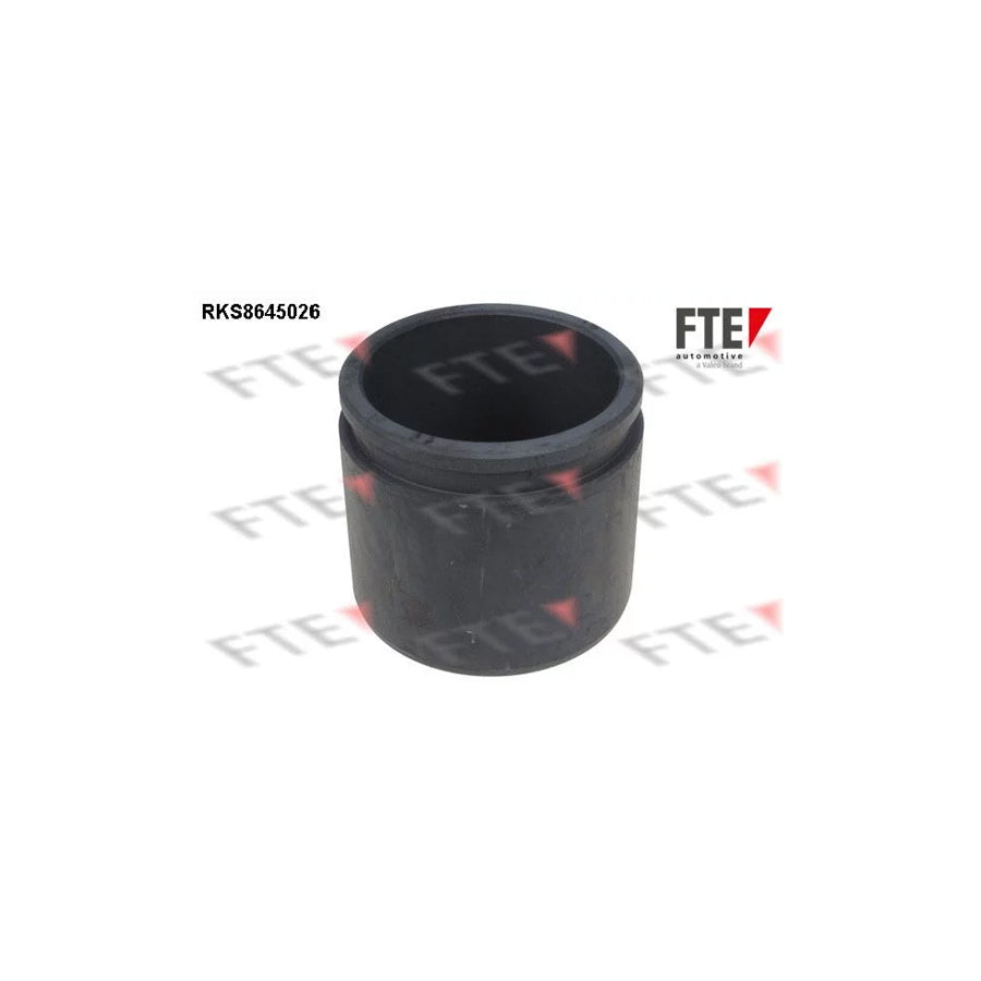 FTE Rks8645026 Piston, Brake Caliper for Toyota Yaris