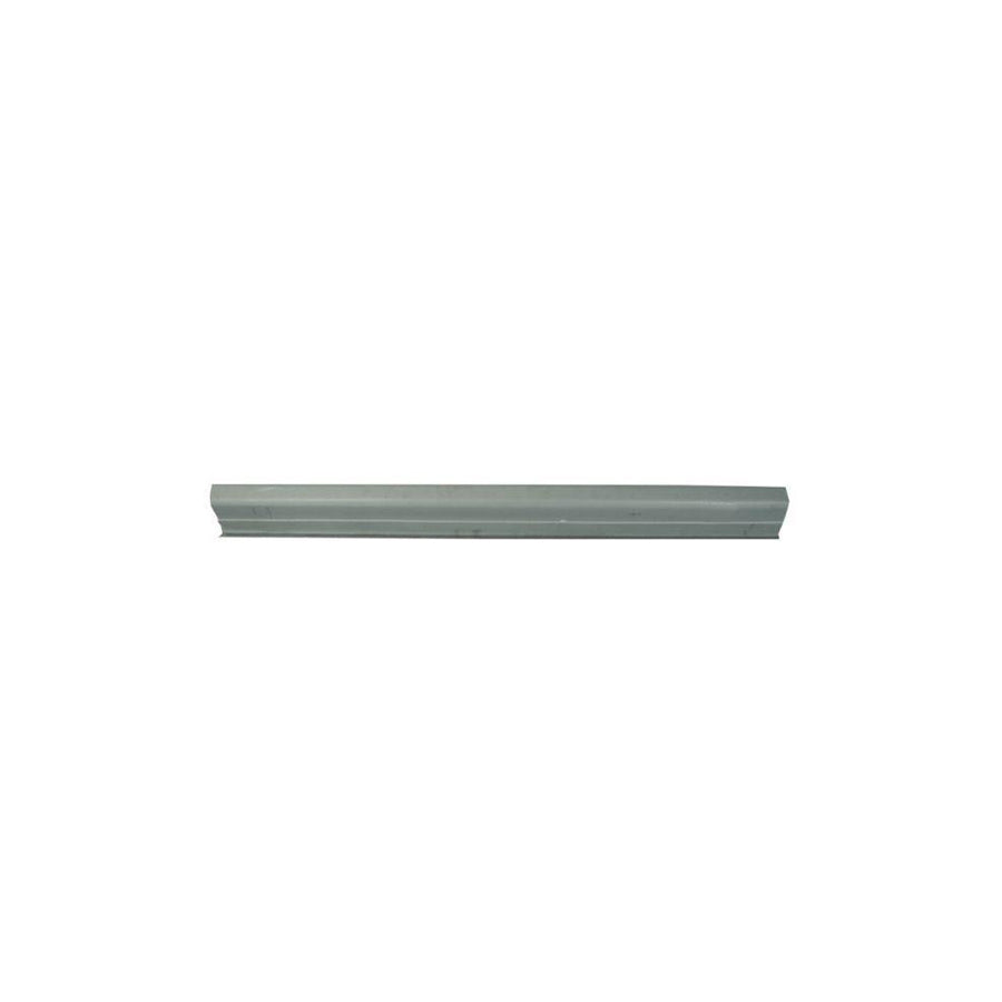 Blic 6505-06-3155017P Rocker Panel