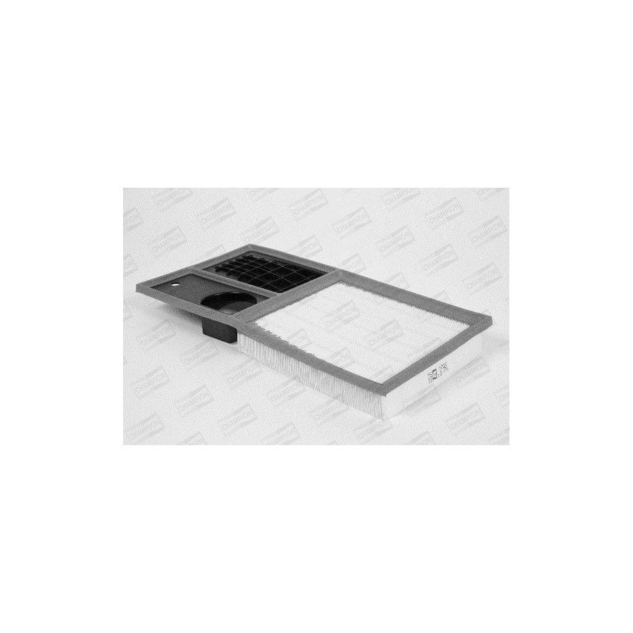 Champion U748/606 Air Filter