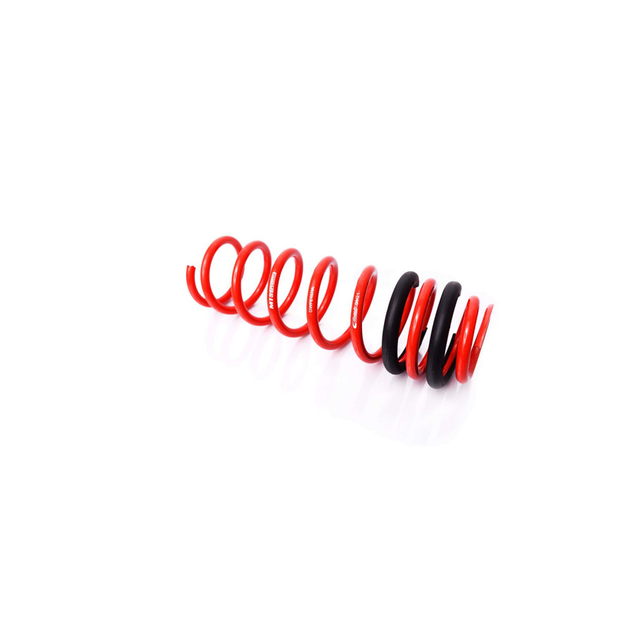MTS Technik BMW Coil Spring - GWFE46HA Spare Parts | ML Performance UK Car Parts