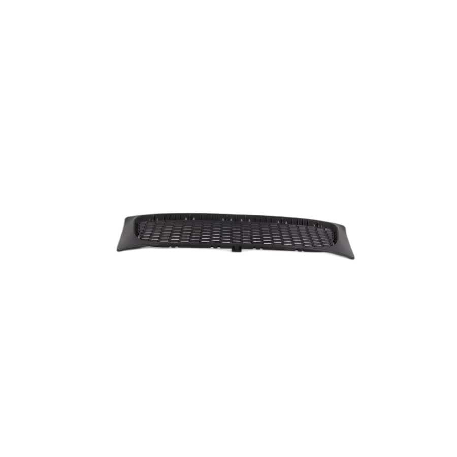 Genuine BMW 51113414307 E83 Grid, Center M (Inc. X3)