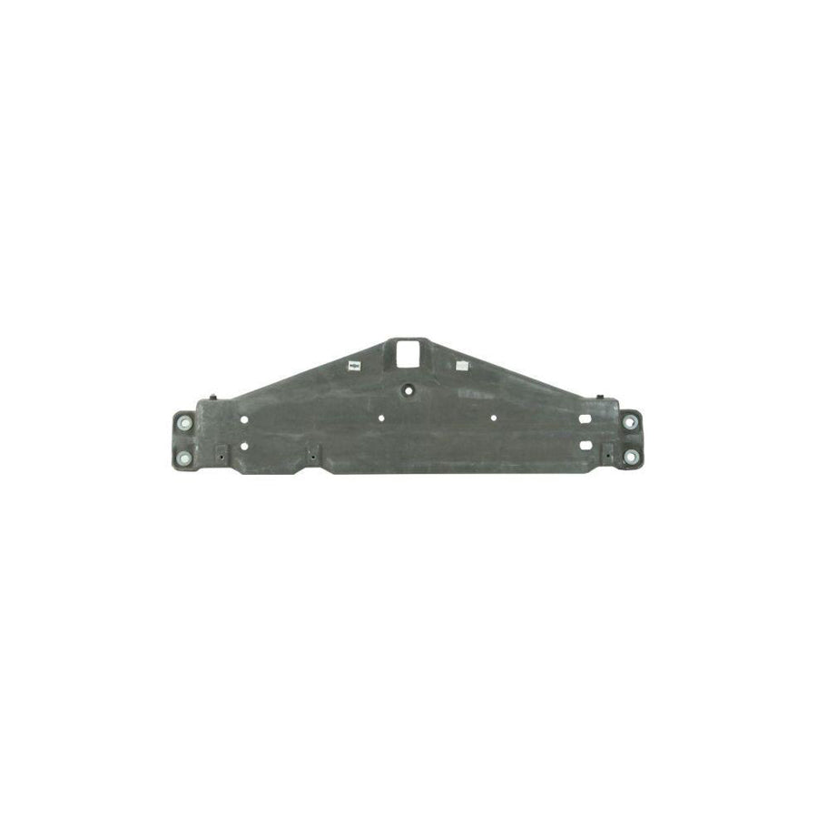 Blic 6509-01-5507924P Bumper Cover, Towing Device for Peugeot 206  Hatchback (2L, 2M)