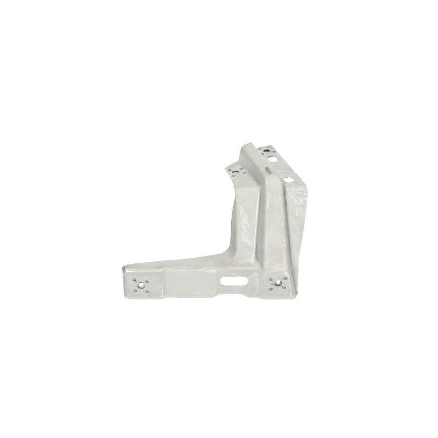 Blic 7802-03-9523382P Holder, Mudguard
