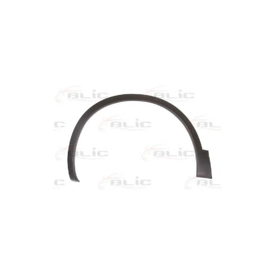 Blic 5703-08-1617375P Trim / Protective Strip, Mudguard for Nissan Qashqai / Qashqai 2 I (J10, Nj10)