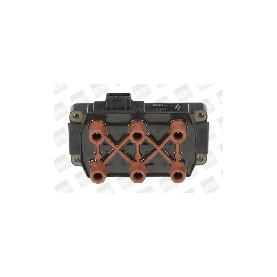 Beru Ger053 Alternator Regulator