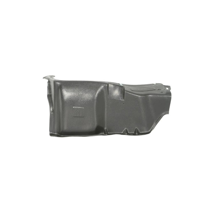 Blic 6601-02-9514871P Skid Plate for VW New Beetle