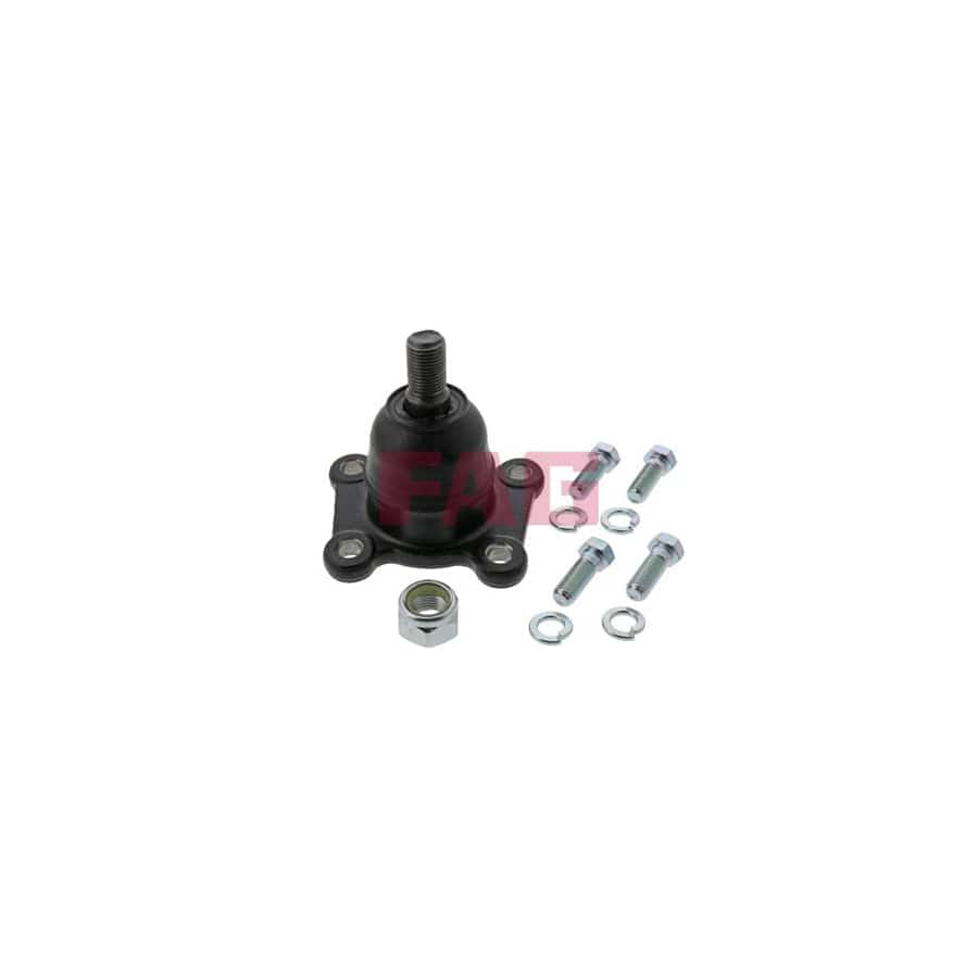 FAG 825 0269 10 Ball Joint