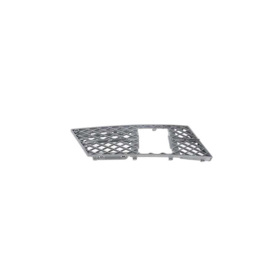 Genuine BMW 51117178102 E60 E61 Grid Lateral Right NVC / ACC2 (Inc. 520i, 525xi & 535xi)