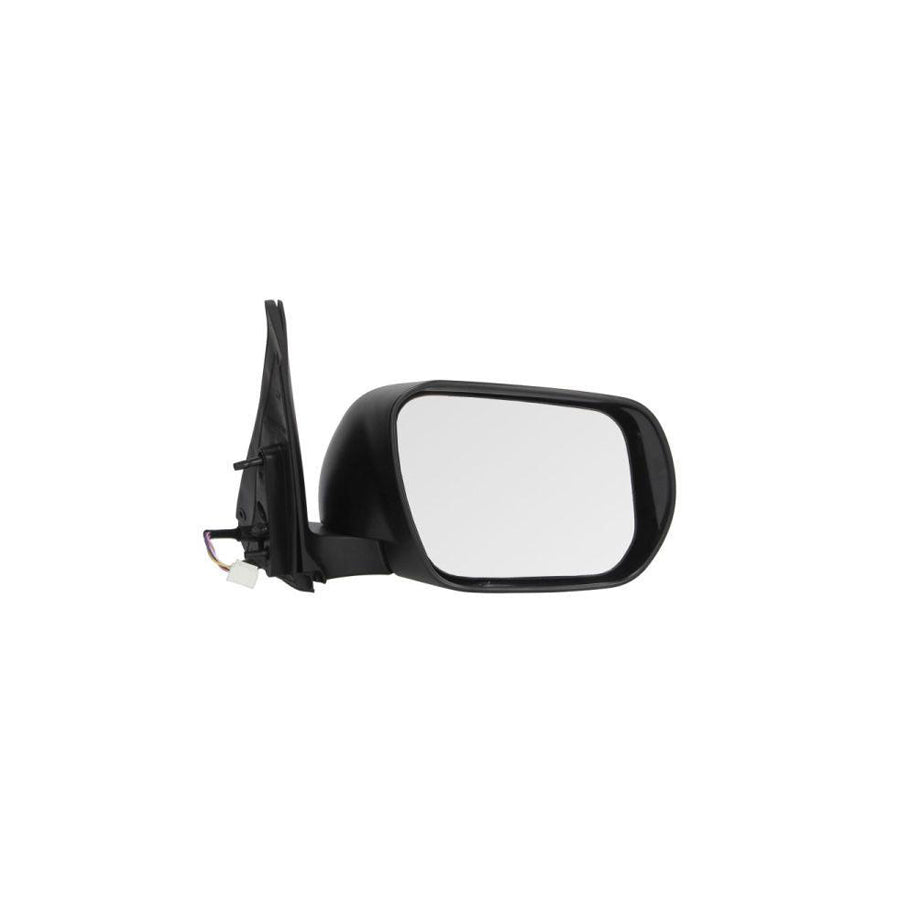 Blic 5402-18-2002414P Wing Mirror for Suzuki Grand Vitara II Off-Road (Jt, Te, Td)
