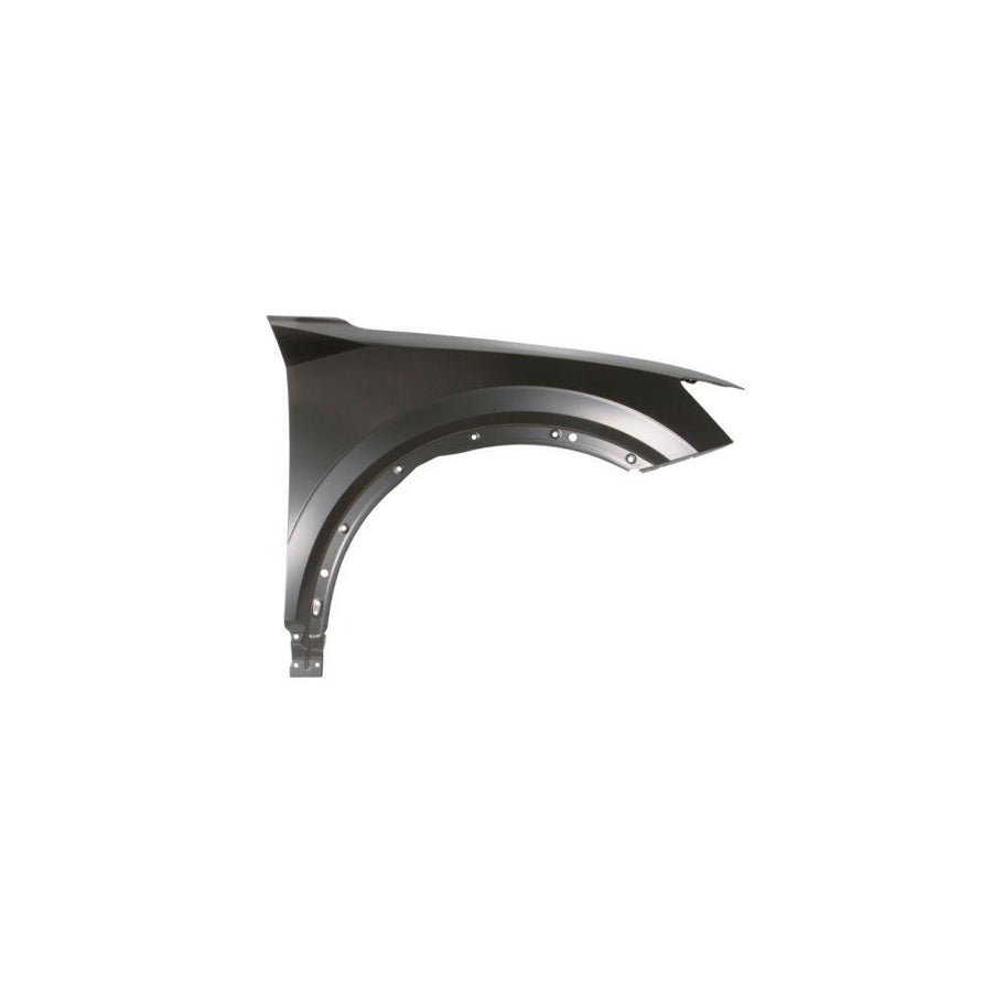 Blic 6504-04-0046312P Wing Fender for Audi Q2 (Gab)