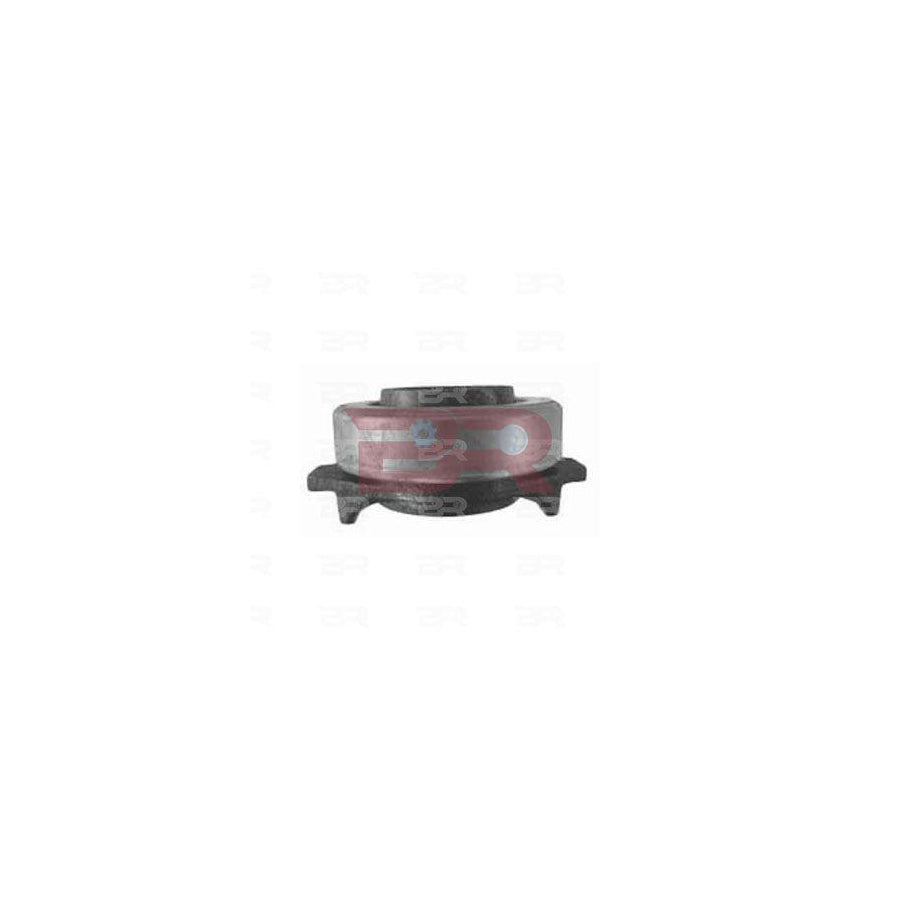Botto Ricambi Brf4269 Clutch Release Bearing
