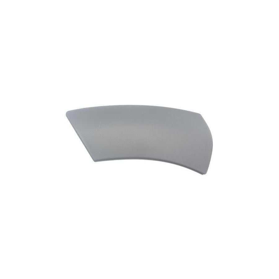 Blic 5703-08-1305375P Trim / Protective Strip, Mudguard