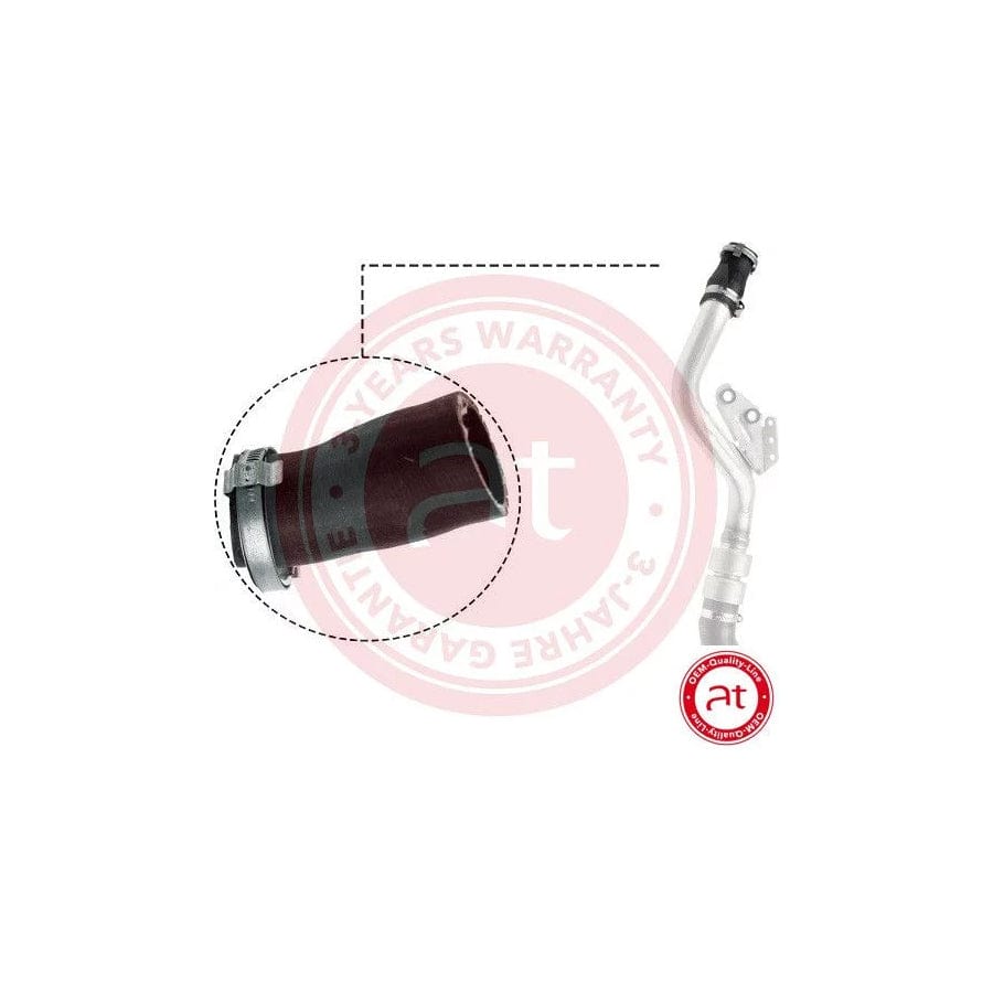 at autoteile germany At20832 Charger Intake Hose for Land Rover Range Rover Sport (L320)