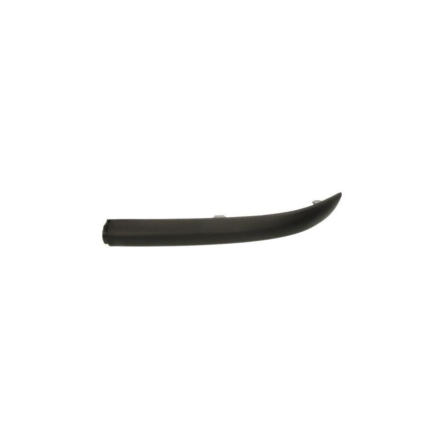 Blic 5513-00-2532962P Bumper Moulding for Ford Focus