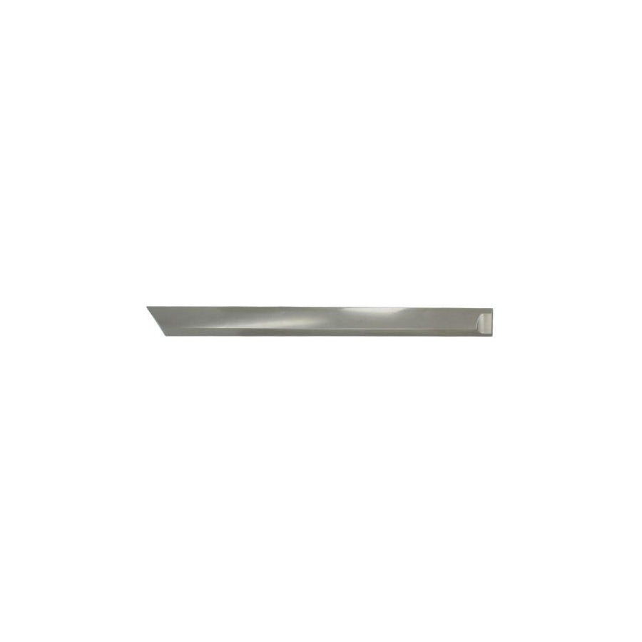 Blic 5703-04-5052578P Door Molding for Opel Astra