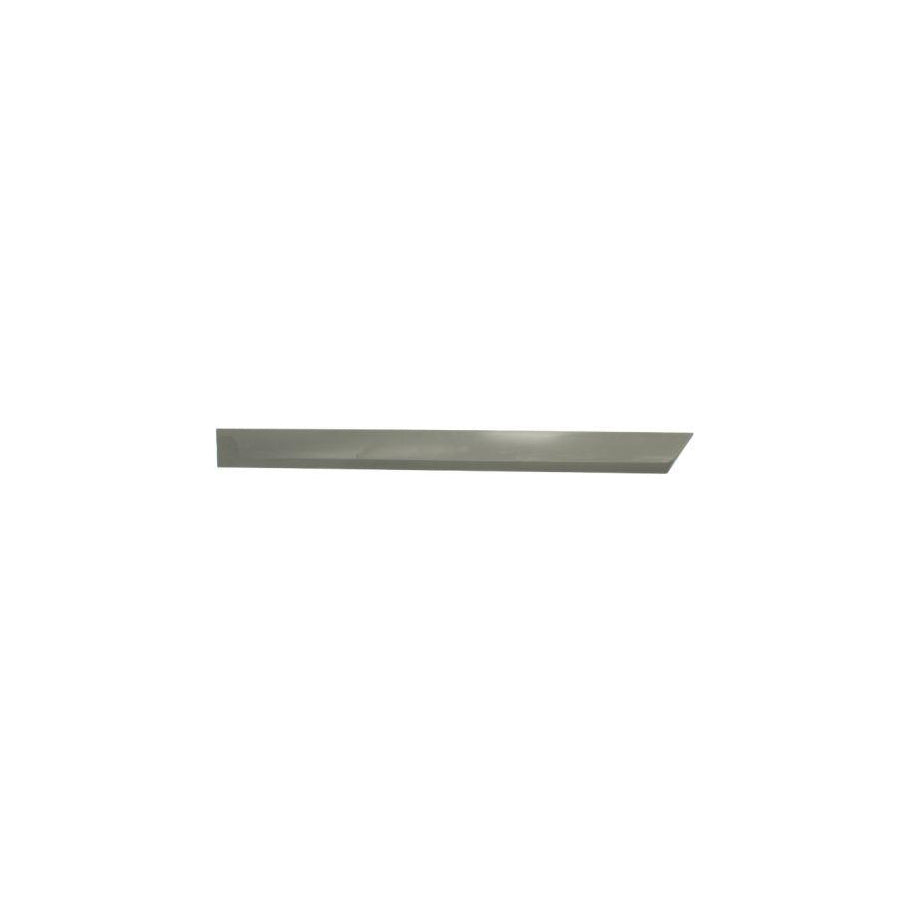 Blic 5703-04-5052577P Door Molding for Opel Astra