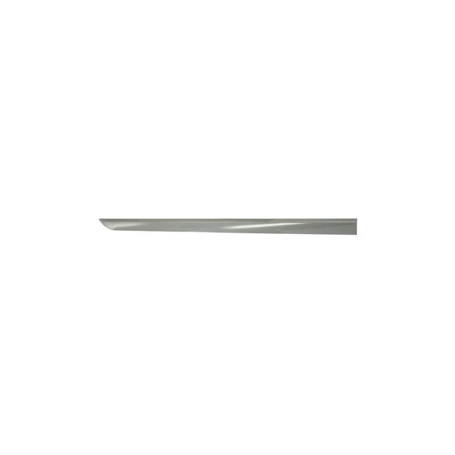 Blic 5703-04-5052576P Door Molding for Opel Astra