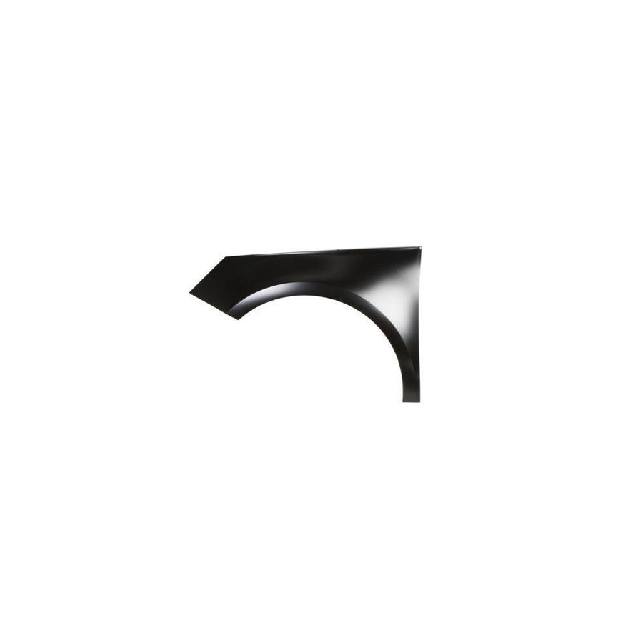 Blic 6504-04-0045311P Wing Fender for Audi A1