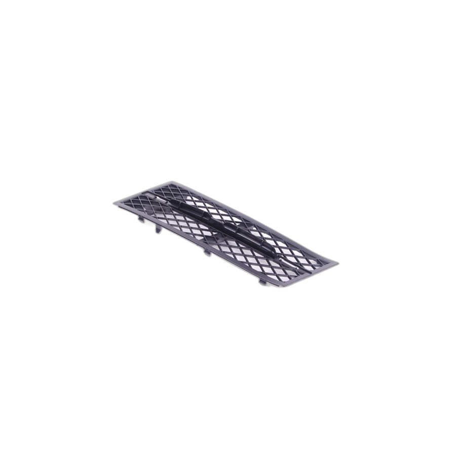Genuine BMW 51117200697 Grill, Air Intake, Open, Left (Inc. 530i, 530dX & 535i)