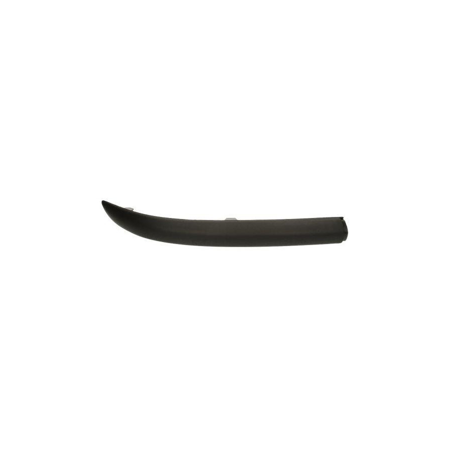 Blic 5513-00-2532961P Bumper Moulding for Ford Focus