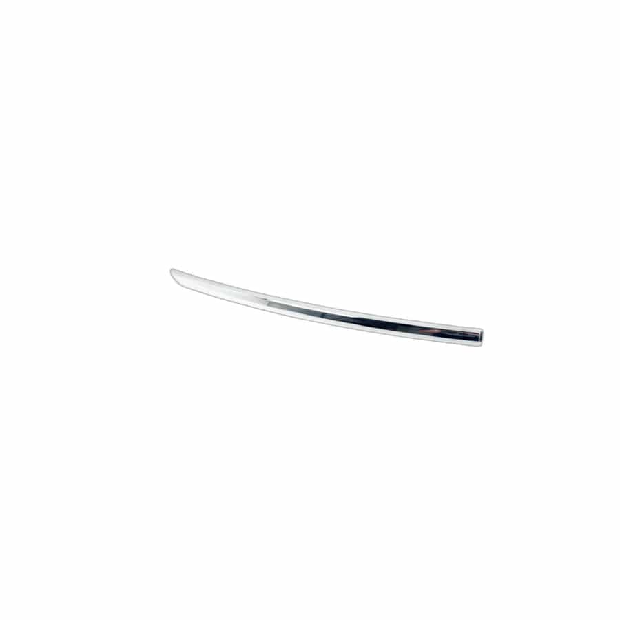 Genuine BMW 51117197291 Moulding Front Left (Inc. 740i, Alpina B7X & 750Li)