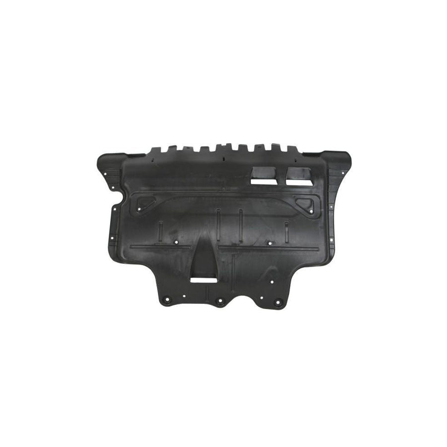 Blic 6601-02-9588862P Engine Cover