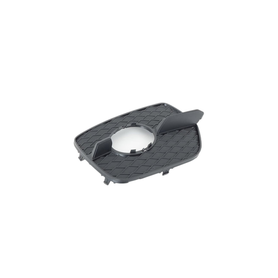 Genuine BMW 51117188384 E71 Closed Grid, Right (Inc. X6)