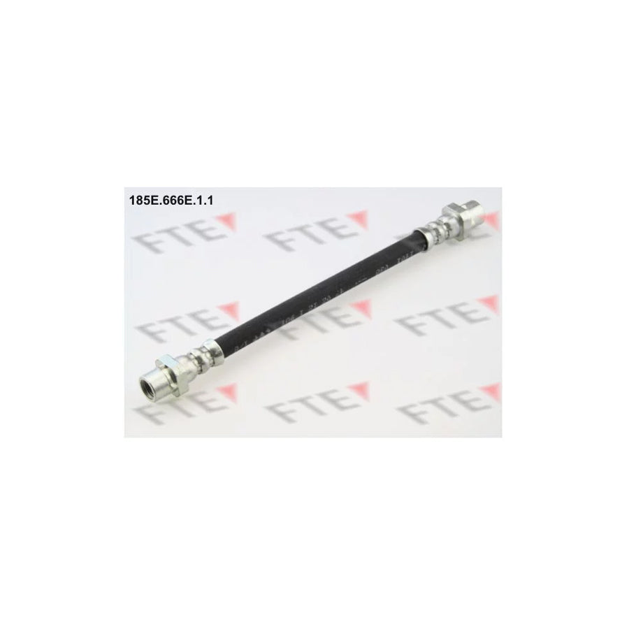 FTE 185E.666E.1.1 Brake Hose