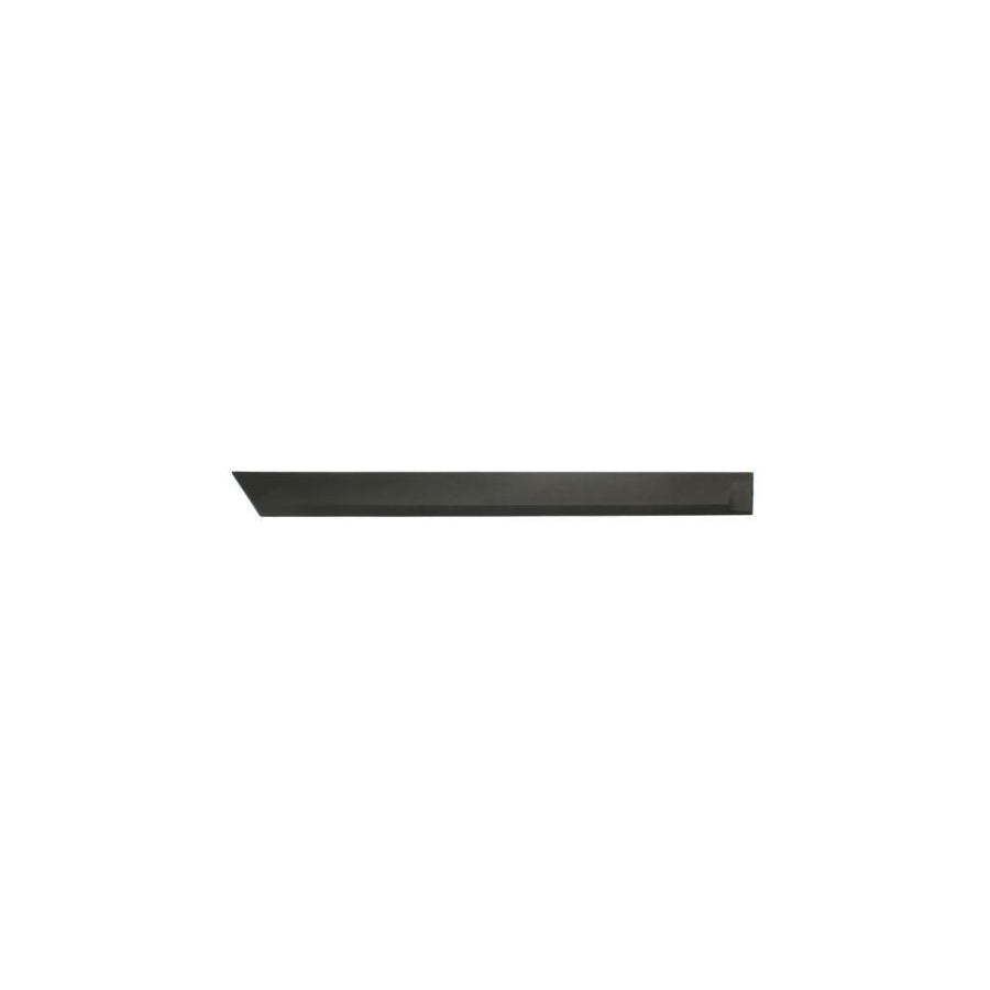 Blic 5703-04-5052574P Door Molding for Opel Astra