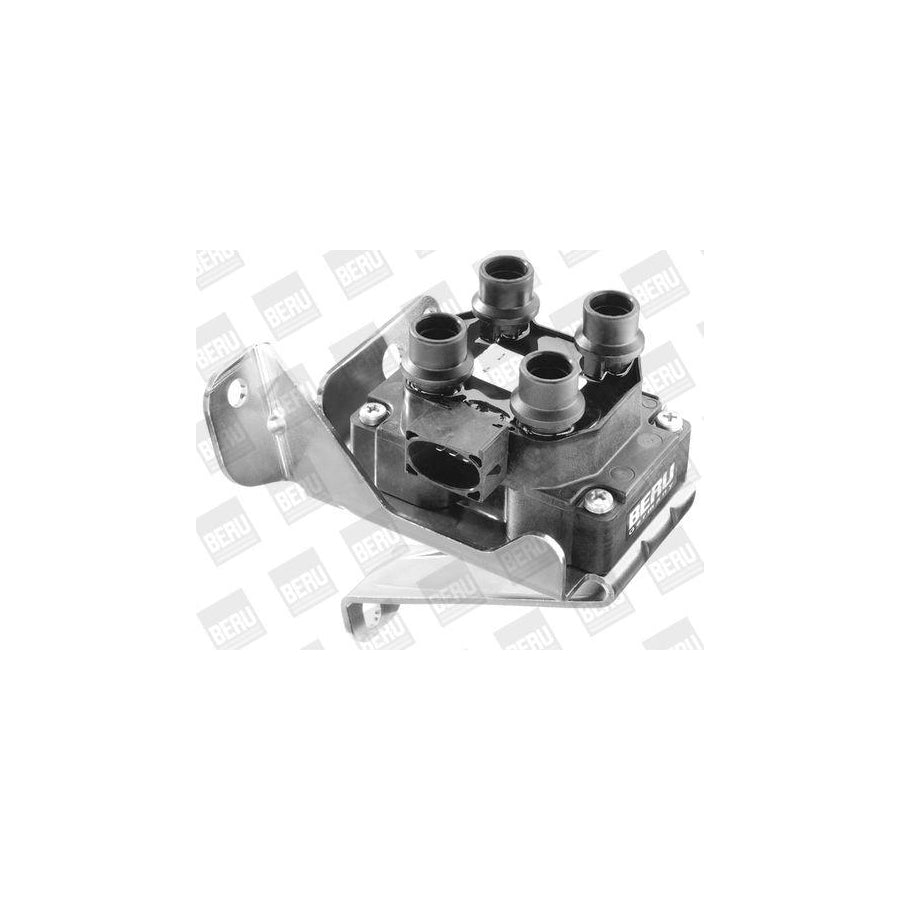 Beru Ger073 Alternator Regulator