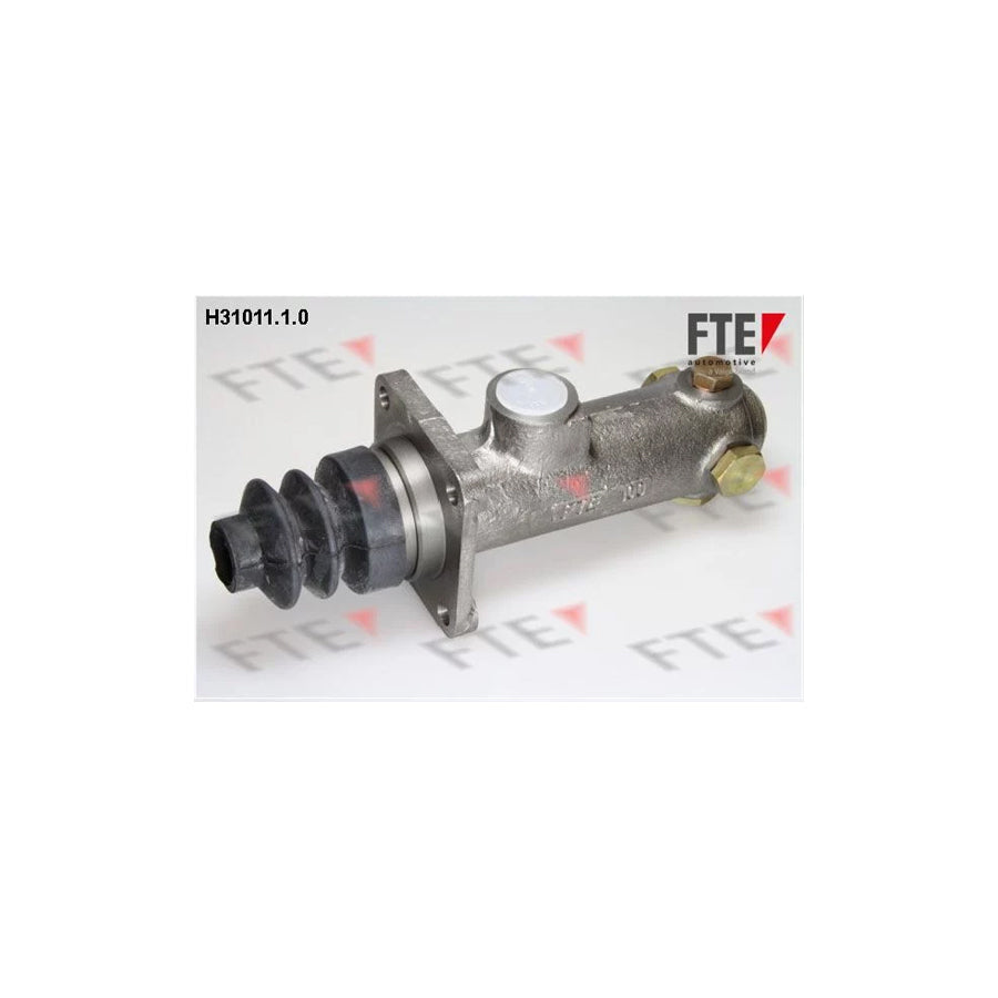 FTE H31011.1.0 Brake Master Cylinder