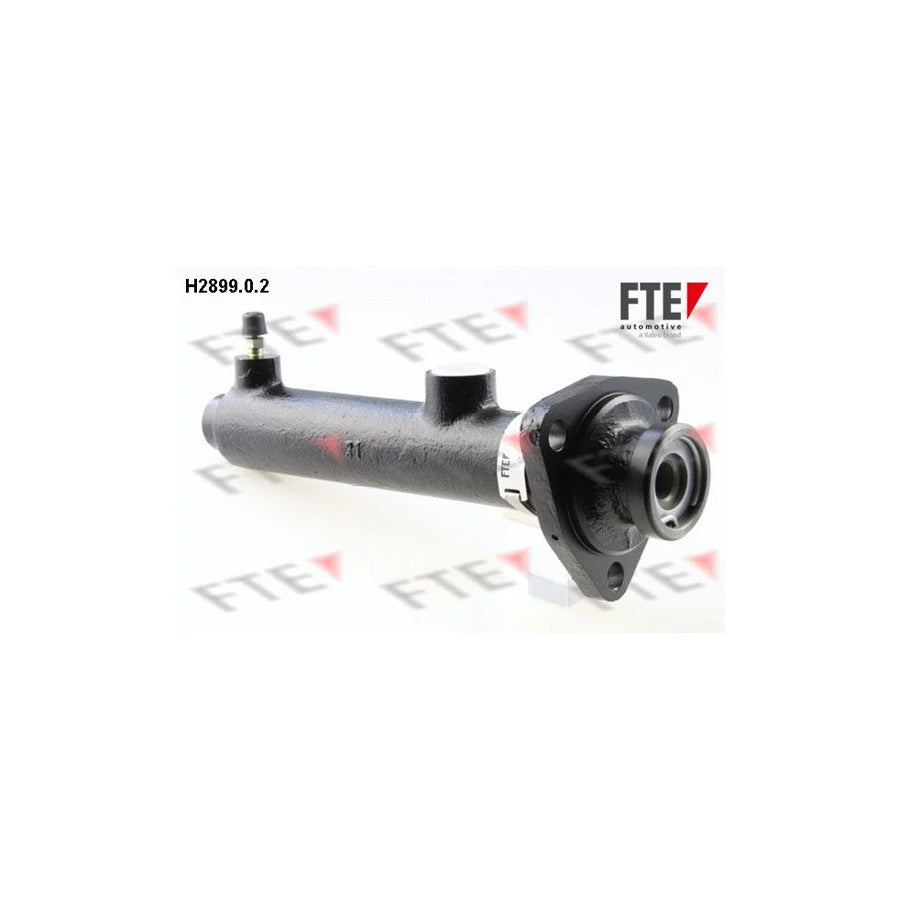 FTE H2899.0.2 Brake Master Cylinder