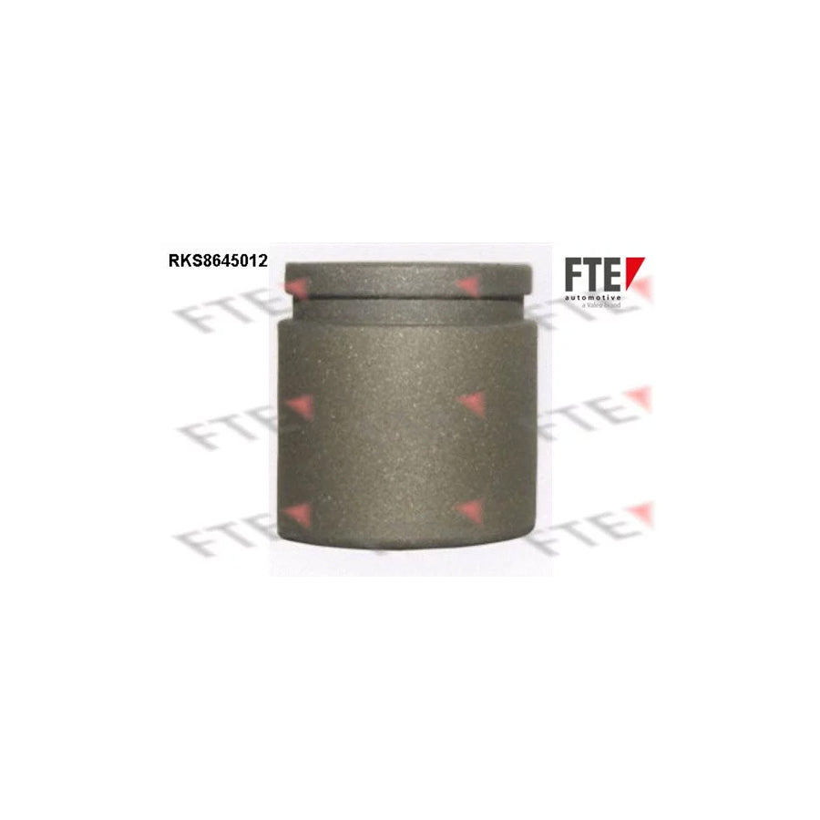 FTE Rks8645012 Piston, Brake Caliper