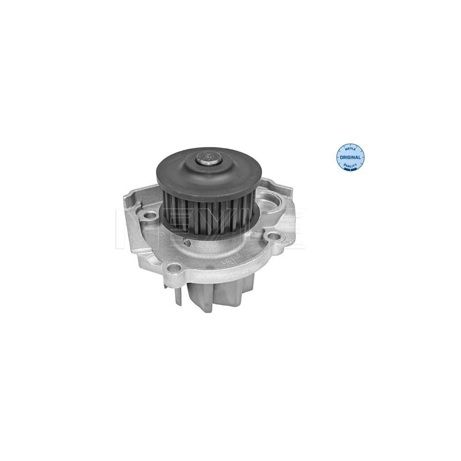 Meyle 214 885 0004 Ignition Coil