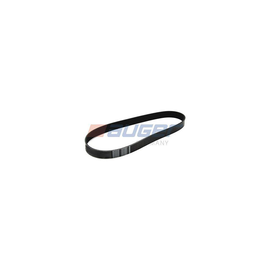 Auger 87695 V-Ribbed Belt