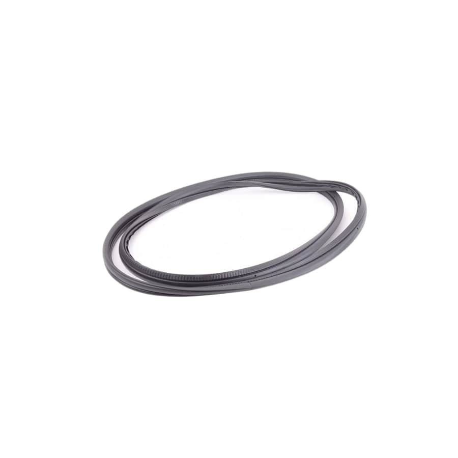 Genuine BMW 51718190689 E39 Weatherstrip (Inc. 525d, 525i & 523i)