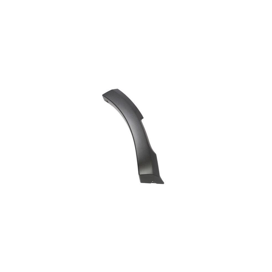 Blic 5703-08-1303376P Trim / Protective Strip, Mudguard