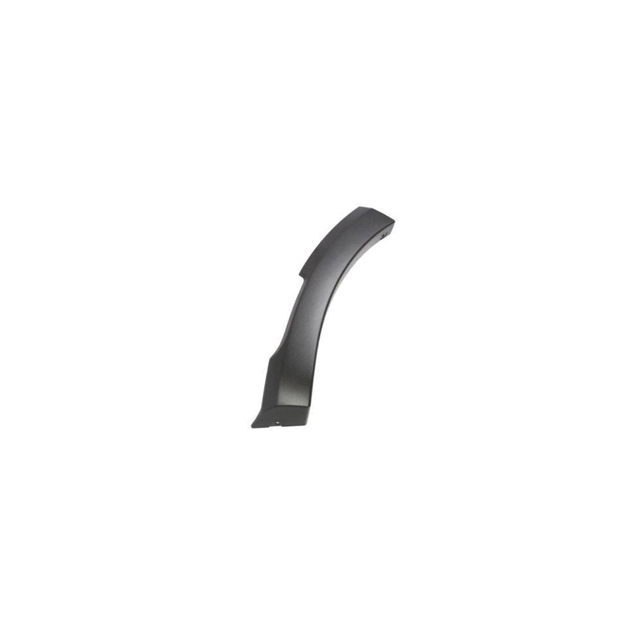 Blic 5703-08-1303375P Trim / Protective Strip, Mudguard