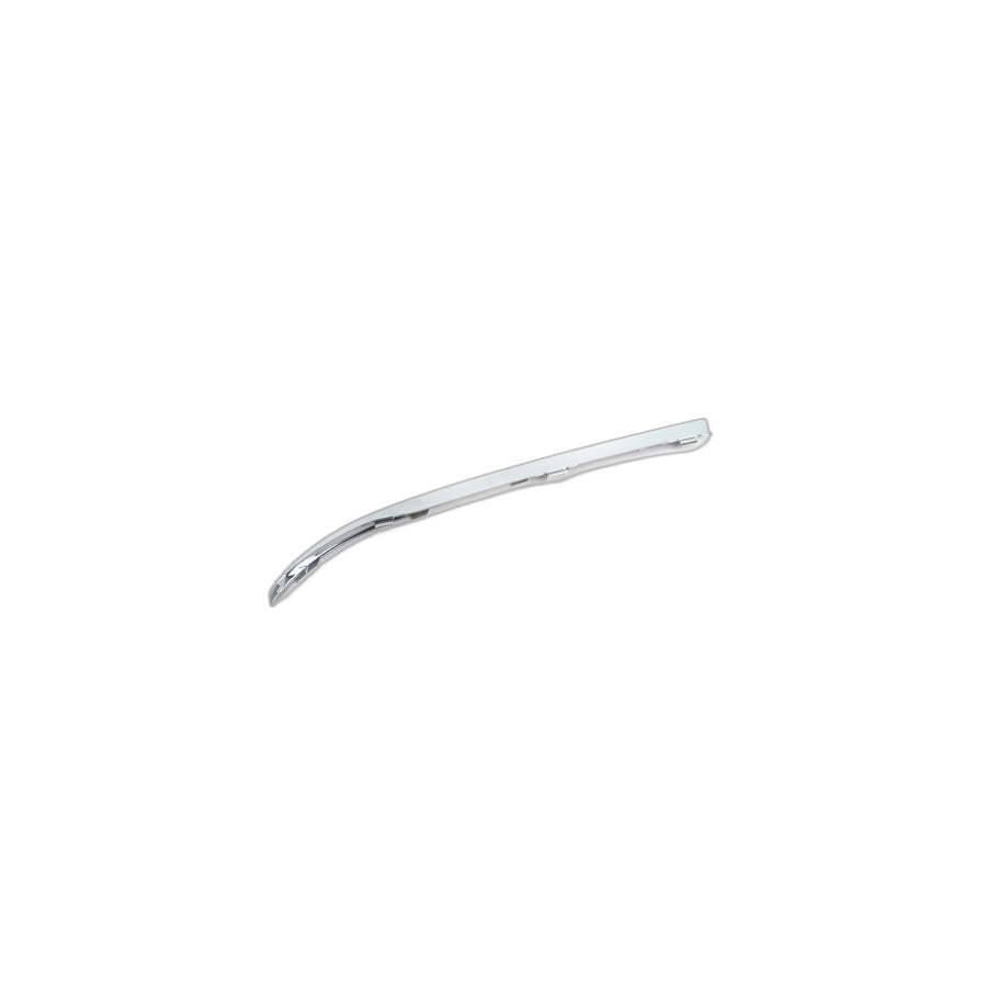 Genuine BMW 51117295272 Rubber Strip Right (Inc. 750LdX, 730Li & 740Li)