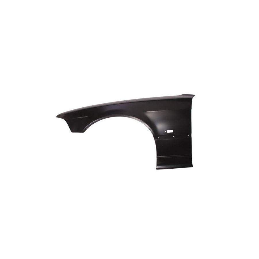 Blic 6504-04-00603113P Wing Fender for BMW 3 Series