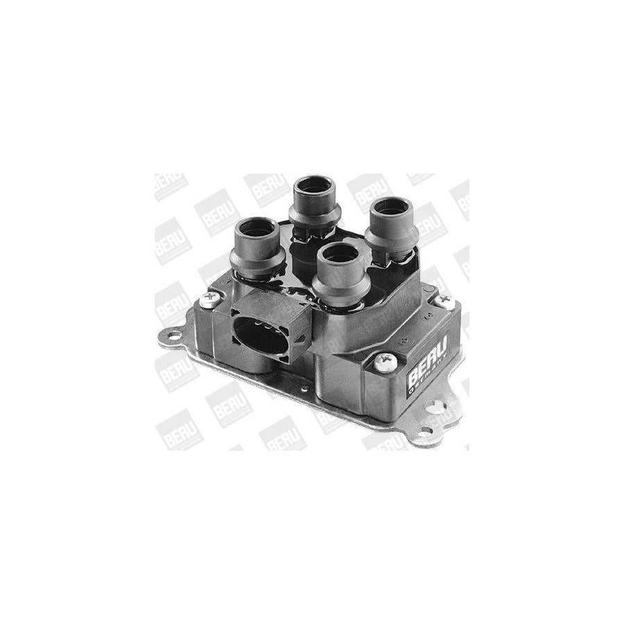 Beru Ger069 Alternator Regulator