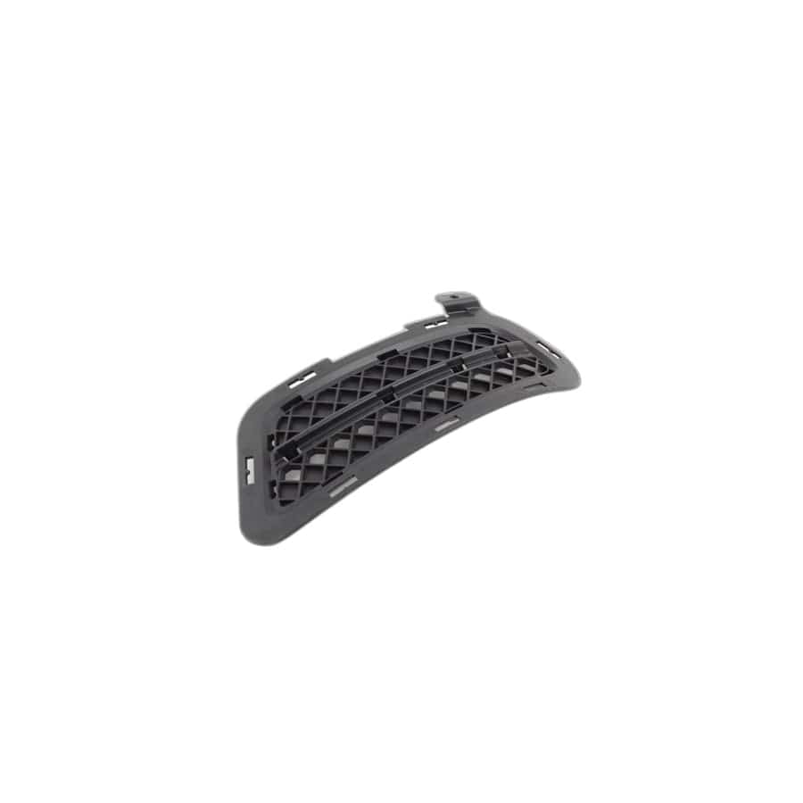 Genuine BMW 51117203799 E89 Closed Grid, Left (Inc. Z4)