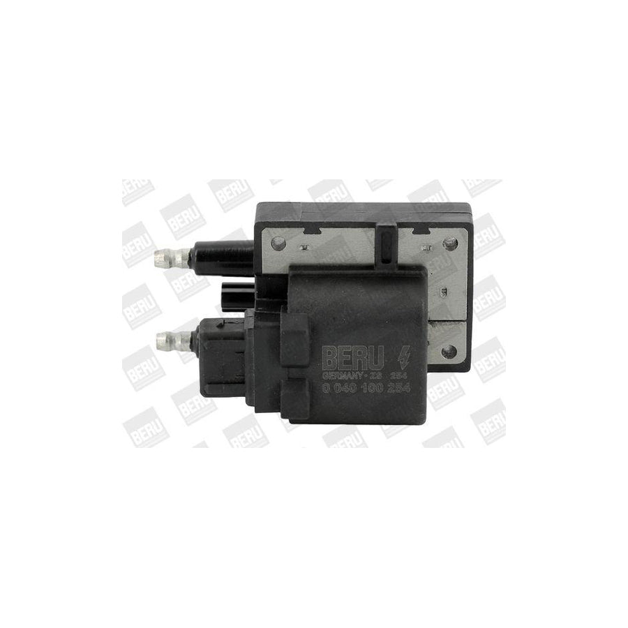 Beru Ger102 Alternator Regulator