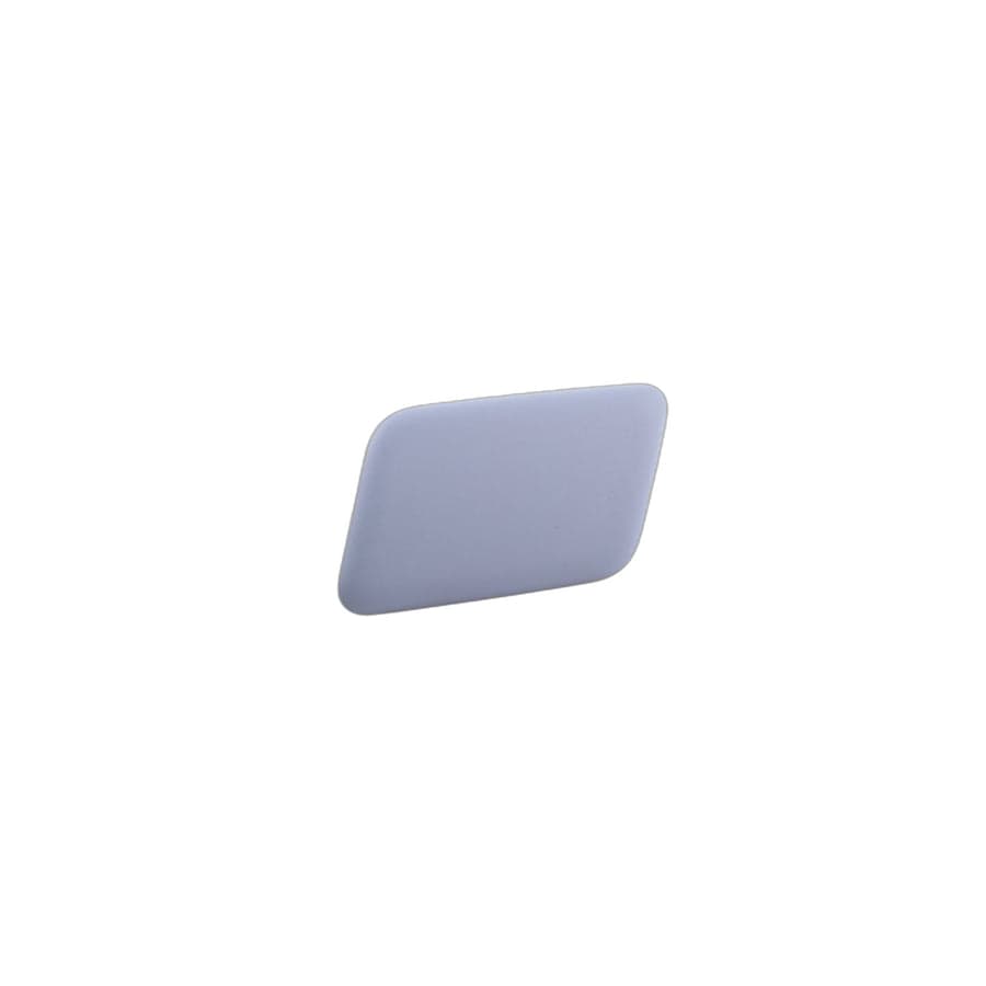 Genuine BMW 61673416175 E83 E83 Cover Cap, Primed, Left (Inc. X3 3.0i)