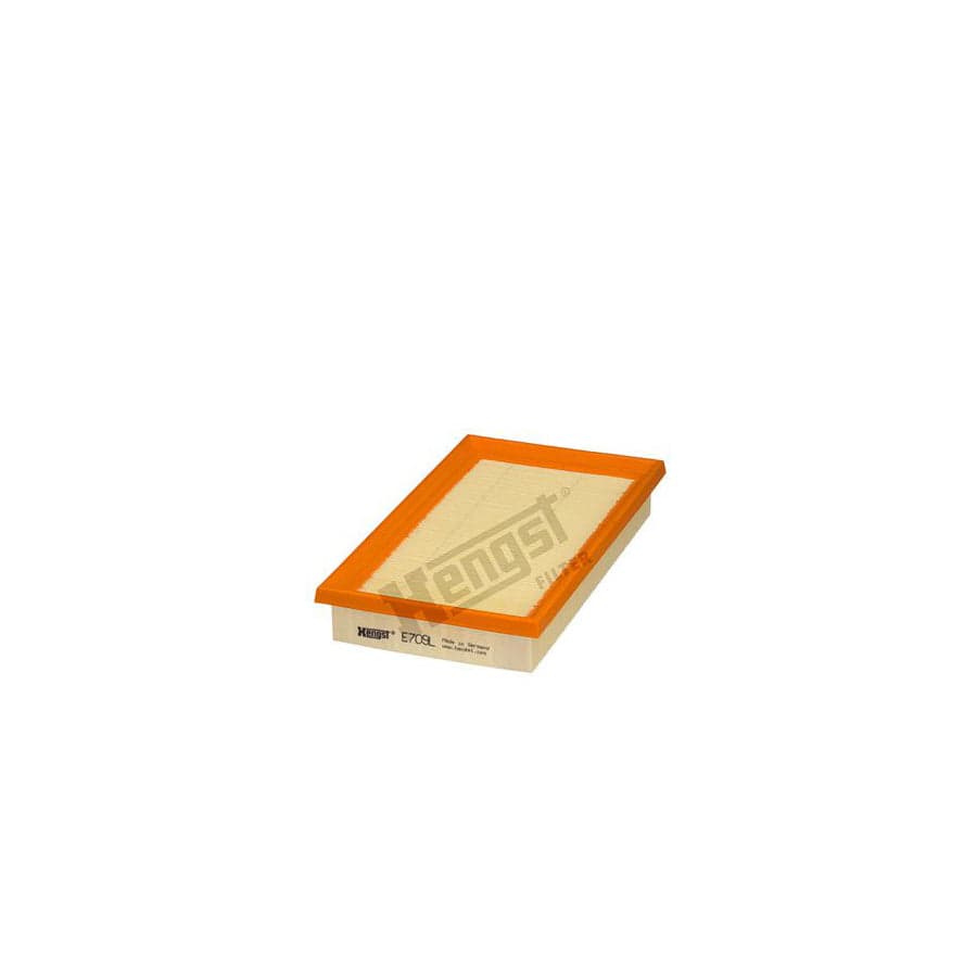 Hengst Filter E709L Air Filter For Kia Rio