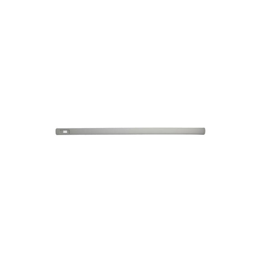 Blic 5703-04-5051575P Door Molding for Opel Astra
