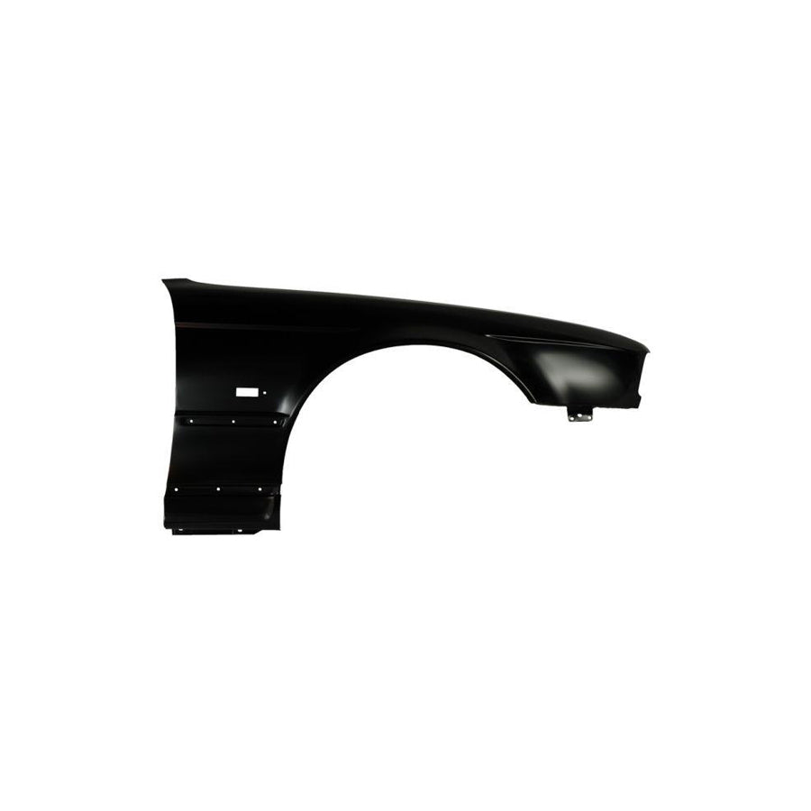 Blic 6504-04-0057314P Wing Fender for BMW 5 Series